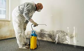 Best Industrial Mold Remediation  in Patrick Af, FL