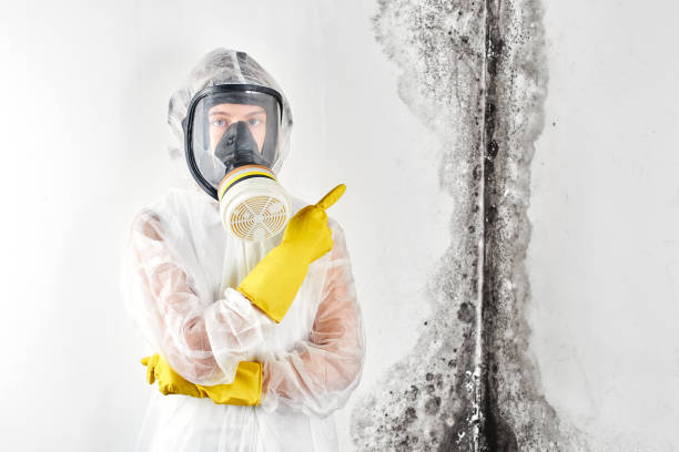 Best Industrial Mold Remediation  in Patrick Af, FL