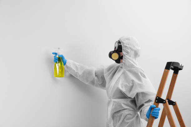 Best Commercial Mold Inspection  in Patrick Af, FL